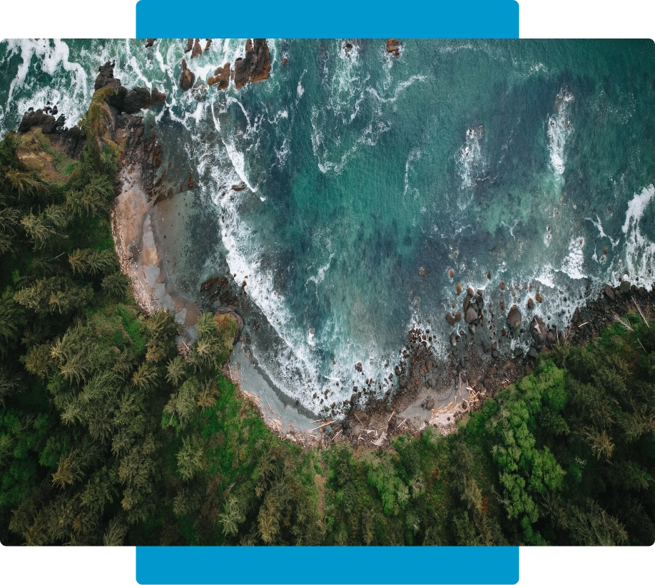 Group 7 Aerial view of a green forest and blue ocean.