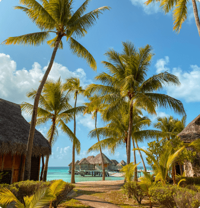 Tropical beach huts with palm trees.